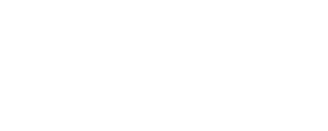 gruposalinas blanco