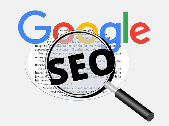 actualizacion google seo